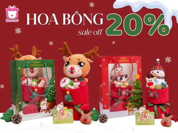 Set Bó Hoa Noel Giảm Giá 20% – Quà Xinh, Giá Xịn, Giáng Sinh Thêm Yêu