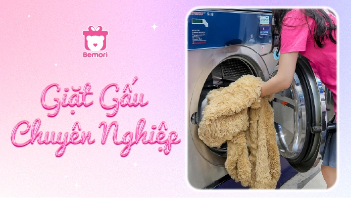 Giặt Gấu Chuyên Nghiệp – Chăm Sóc Gấu Yêu