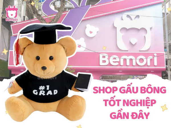 Mua Gấu Bông Tốt Nghiệp Gần Đây Ở Đâu, Giá Bao Nhiêu?